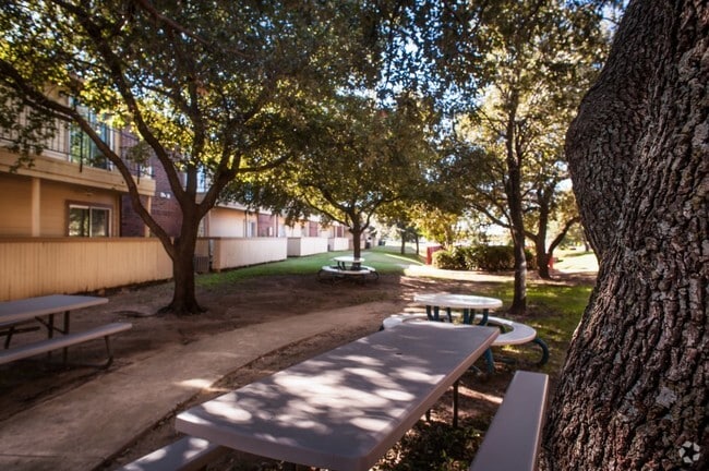 Oak Tree Village Rentals Lewisville Tx Apartments Com