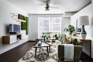 Vector Apartments