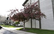 Willow Wind Apartments