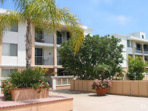 Dolphin Marina Apartments