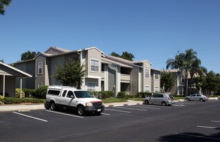Ascent Citrus Park Apartments