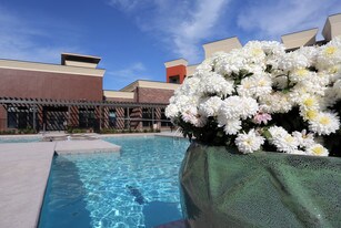 Crown Village at Elm Ridge Apartments
