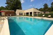 Springtree Apartments