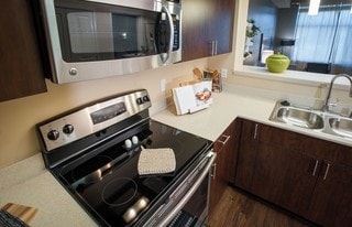 Elan Redmond Apartments