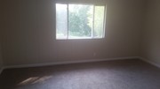 928 S Stewart St Creve Coeur IL Apartments