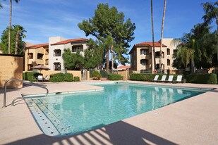 Olive Tree Apartments