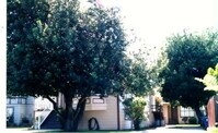 1539 9th St Apartments