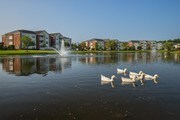 Seaside Grove Apartments