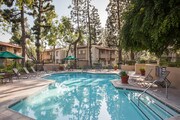 The Homestead Apartments