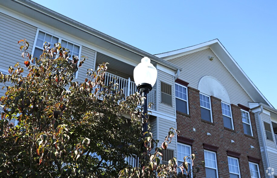 Window Coverings Iselin Window Coverings Iselin