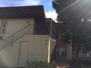 84 Windtree Ln Winter Garden FL