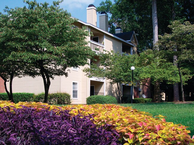 The Timbers Apartments