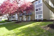 Royalwood Apartments
