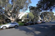 Rose Apartments
