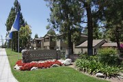 Stonewood Apartments