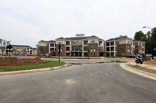 The Village at Marquee Station Apartments