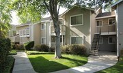 Cypress Pointe Apartments