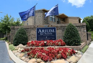 ARIUM Bay Pointe Apartments