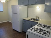 1955 President St St. Louis MO Apartments
