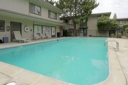 Shelfield Apartments