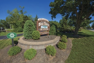 Big Tree Manor Apartamentos