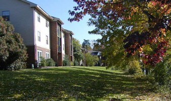 The Forest Apartments