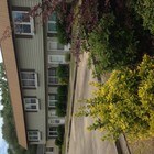 4805 Forest Dr Myrtle Beach SC