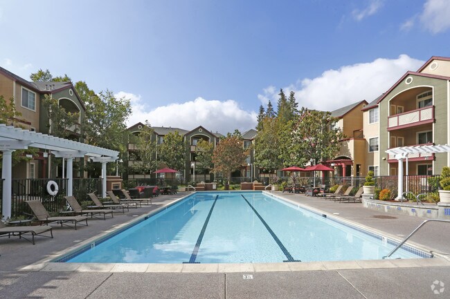 Saybrook Pointe Apartment Homes