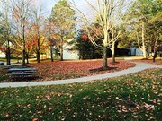 Homestead Commons Apartments