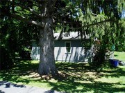 Studio Single-Family Home for Rent $625