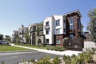 Los Alisos at Mission Viejo Apartments