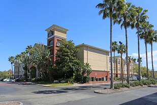 Furnished Studio – Tampa - Airport - N. We... Apartments