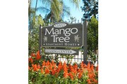 Mango Tree Apartamentos