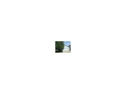 3 Bedroom Single-Family Home for Rent $950