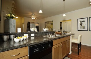 Colonial Grand at Randal Lakes Apartments