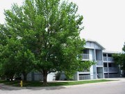 1118 City Park Ave Fort Collins CO