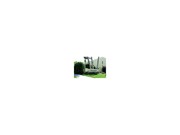 1 Bedroom Single-Family Home for Rent $925