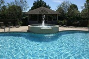 Plum Tree Apartments