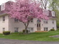 Brandywine Appartments - Robinhood Apartments