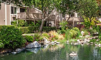 Glenbrook Apartments