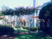 Ventana Dallas - Spring Valley Apartments
