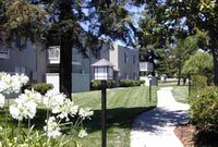 Sycamore Commons Apartments