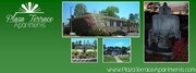 Plaza Terrace and Blues Farm Apartments
