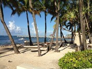 Ocean Walk Apartments