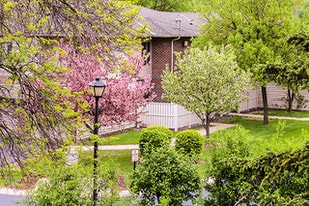 Tanager Creek Rental Townhomes Apartments
