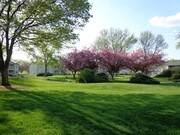 Fountainhead Apartments