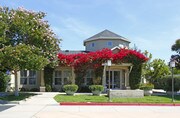 Forge Homestead Apartments