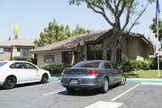 Evergreen Apartments