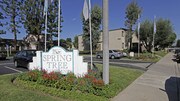Springtree Apartments