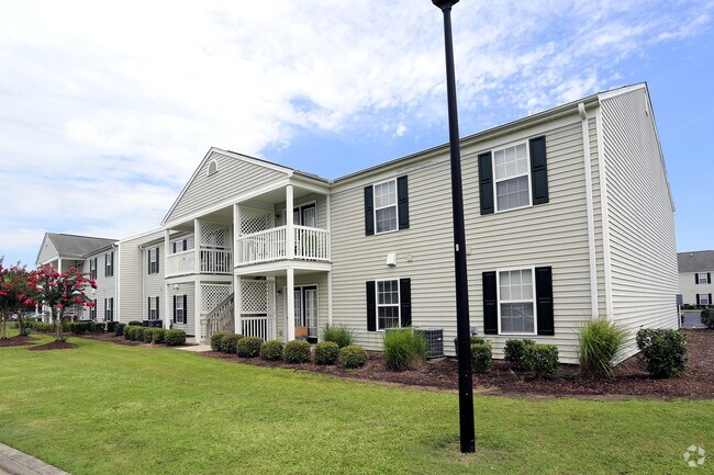 Ivystone at Palmetto Pointe Apartments